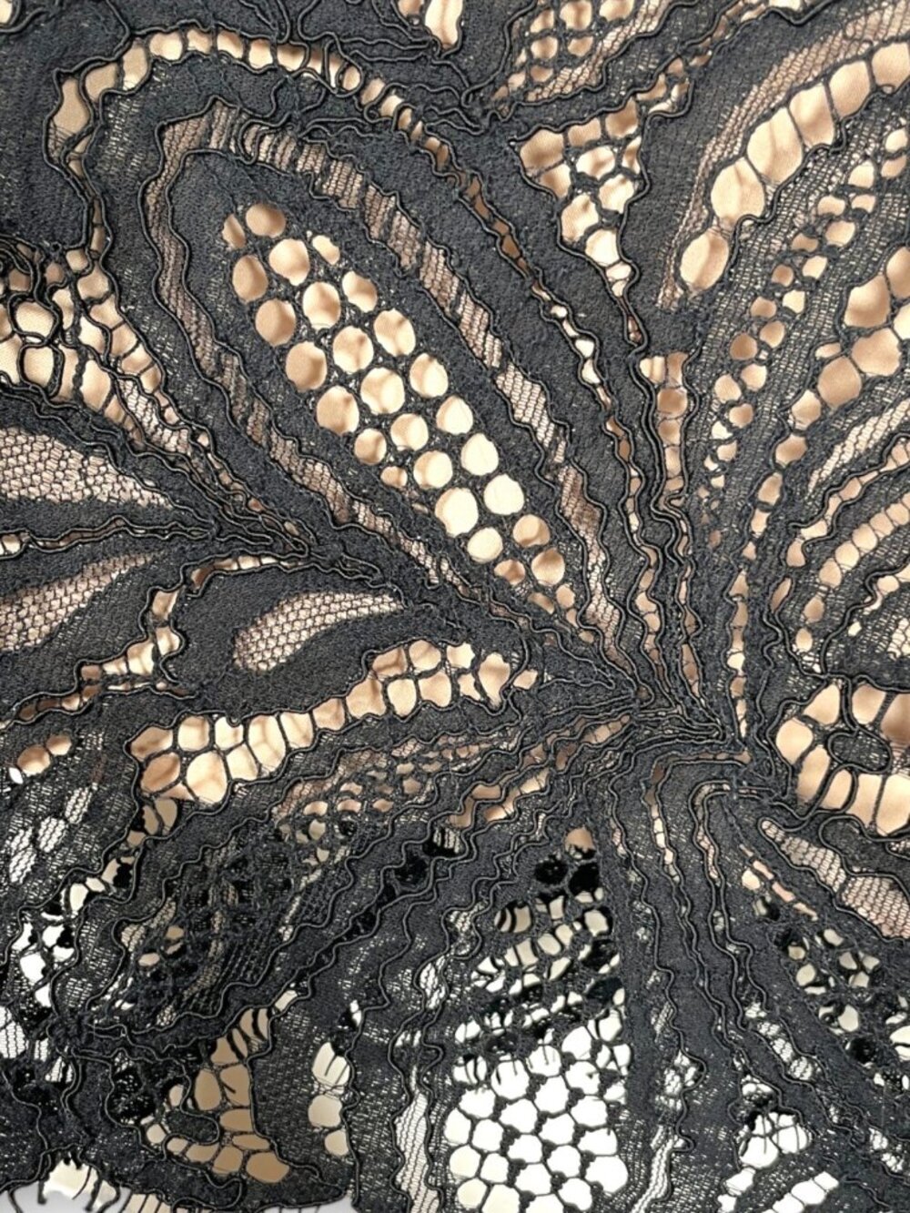 Babaton Aritzia Henry Dress 6 Black Lace Cocktail Whimsigoth Dark Romantic - Picture 5 of 10